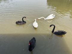 -宁波杭州湾国家湿地公园