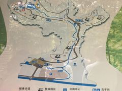 -都江堰中华大熊猫苑
