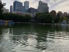 -团结湖公园