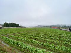 -古田会议纪念馆