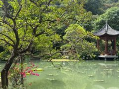 -云溪植物园