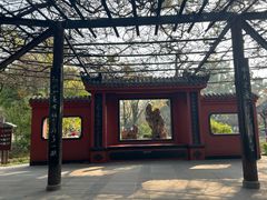 -桂湖森林公园
