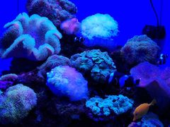 -多彩贵州城极地海洋世界