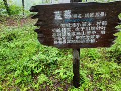 -峡谷浮石林景区