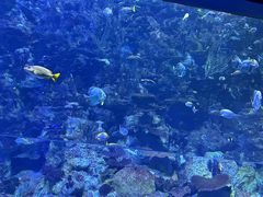 -香港海洋公园