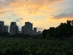 -湖锦酒楼·32年地道湖北菜(光谷店)