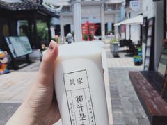 -眞宗·椰汁是大王(小娄巷店)