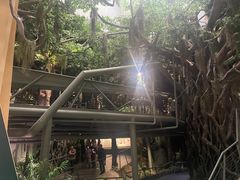 -武汉园博园(武汉自然博物馆)