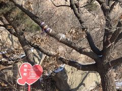 -石岛赤山风景区