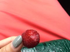 -兴福老面馆(寺路街店)