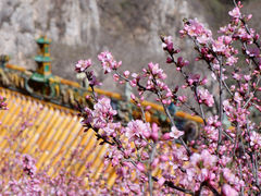 -悬空寺