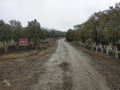 -南京市江宁方山