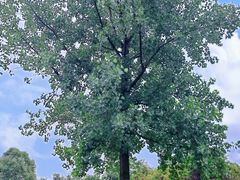 -成都中医药大学(温江校区)