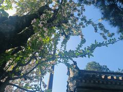-潭柘寺景区