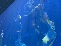 -华夏文旅海洋公园