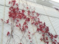 -回声星球·团建策划·赛事承办·拓展培训(大钟寺店)