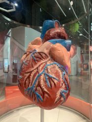 -北京科学中心儿童乐园