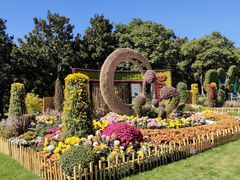 -上海共青森林公园