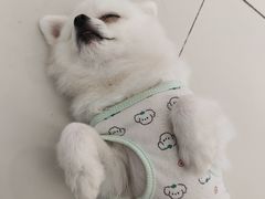 -怪兽屋·羊驼·猫咖·狗咖(俊华广场店)