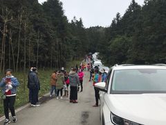 -武陵山森林公园
