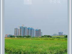 -光明小镇欢乐田园