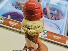 -Dal Cuore 达可芮冰淇淋(陕西北路店)