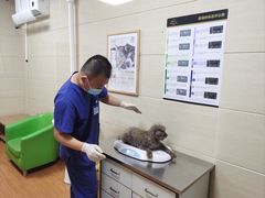 -北京观赏动物医院·24小时大型综合·猫专科·异宠专科