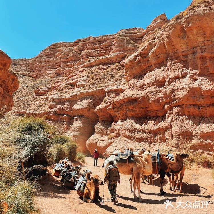 鬼斧神工的自然奇迹|张掖平山湖大峡谷