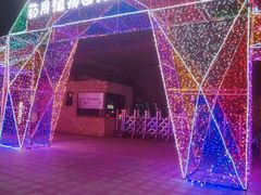 -广西壮族自治区药用植物园