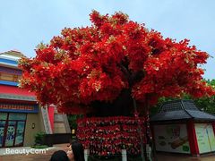 -芜湖方特东方神画