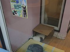 -联合动物医院(光谷诊疗中心)