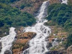 -广州白江湖森林公园