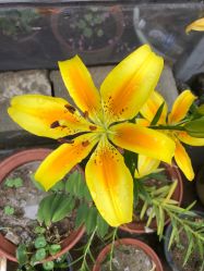 -o·ba欧芭造型Salon