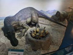 -国家自然博物馆