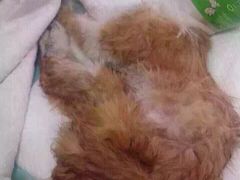 iphone_upload_pic-盛京一禾