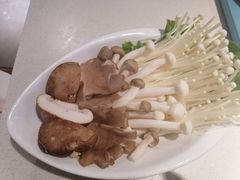 -百年果林椰子鸡(中洲店)