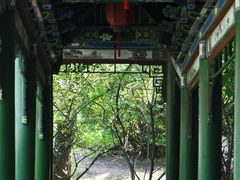 -迎泽公园