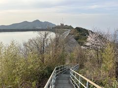 -江南天池