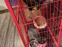 -第三空间·趣味桌游·轰趴.室内CS.剧本杀(大武汉1911店)