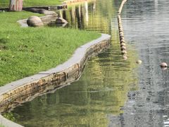 -天鹅湖体育公园