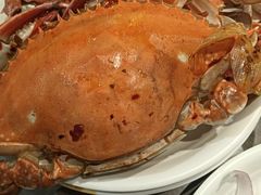 -锅儿欢海鲜火锅烤肉自助餐(东港凯虹店)