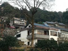 -龙井村