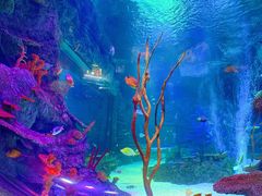 -沈阳海洋探索中心