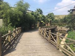 -东海大峡谷