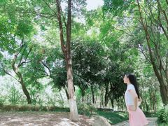 -重庆彩云湖湿地公园