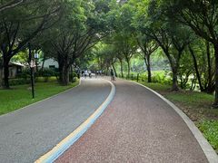 -顺峰山公园