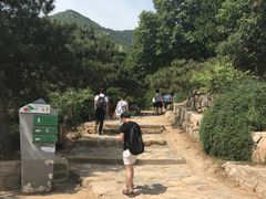 -北京鹫峰国家森林公园
