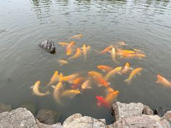 -云水涧亲子度假酒店