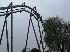 -飞天翼龙