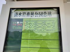 -滴水岩森林公园